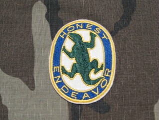 9th MP Lizard