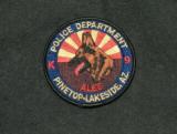 Pinetop-Lakeside K-9