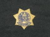 Arizona DPS Hat Patch
