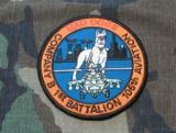 106th Avn 1st Bn Co B