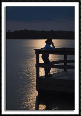 Pondering Life By Moonlight
