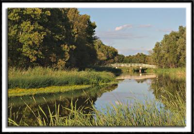 Rice Creek