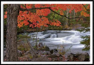 Rapids Near Bond Falls