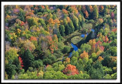 Carp River From Above