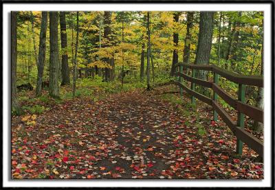 Hiking Trail Along The Black River