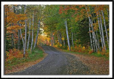 Autumnal Bliss