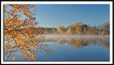 Thinly Veiled Fog