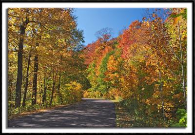 Colorful Forest in the Porcupine Mtns
