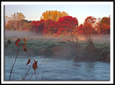 Morning Light