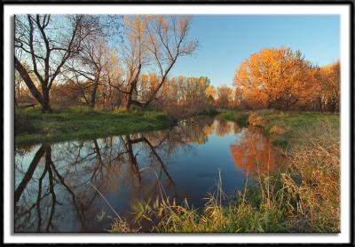 Placid Rice Creek