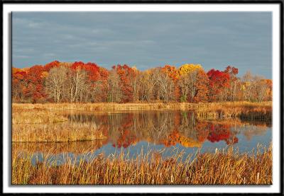 A Morning at the Marsh