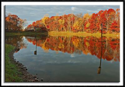 Colorful Reflection