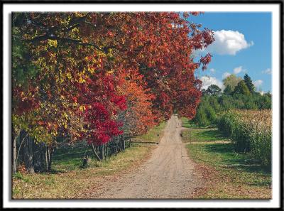 Country Road