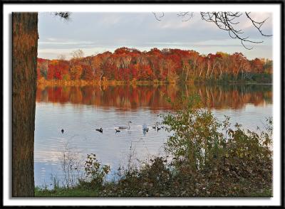 Sucker Lake