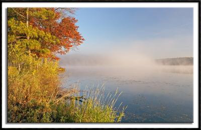 Foggy Sucker Lake