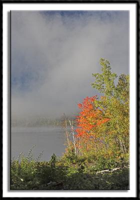 Foggy Portage Lake
