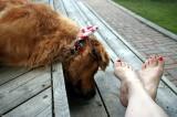 Canada Day feet with His Harry-ness