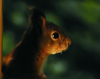 p9250019_resize.jpg