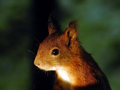 p9250021_resize.jpg