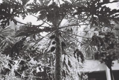 2997250-R1-E030.jpg
