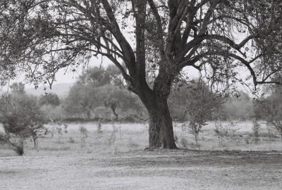 2997250-R1-E122.jpg