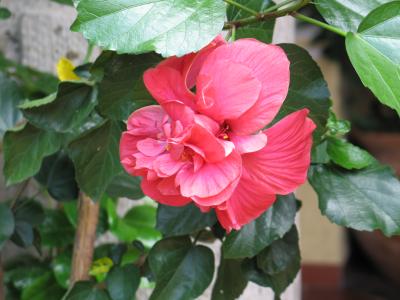 IMG_0107.JPG