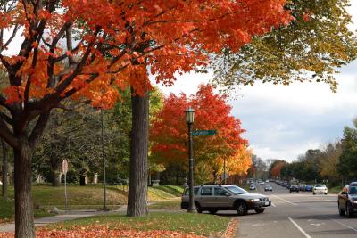 mn-autumn0028.JPG