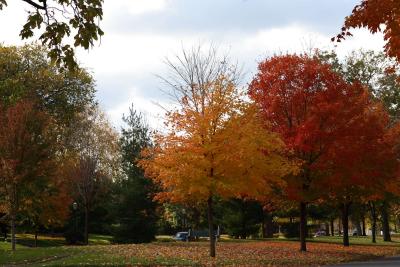 mn-autumn0040.JPG