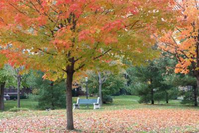 mn-autumn0045.JPG