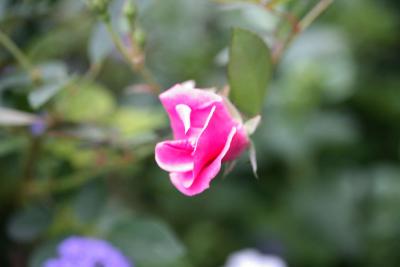 mn-autumn0070.JPG