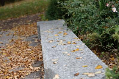 mn-autumn0088.JPG