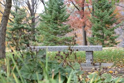 mn-autumn0090.JPG
