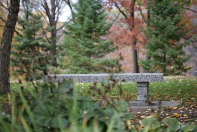 mn-autumn0091.JPG