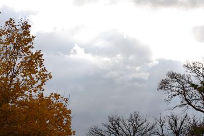 mn-autumn0103.JPG