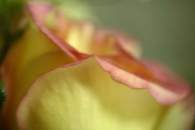 mn-autumn0109.JPG