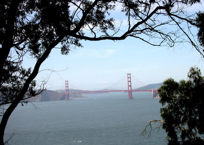 View of Golden Gate from the Presidio