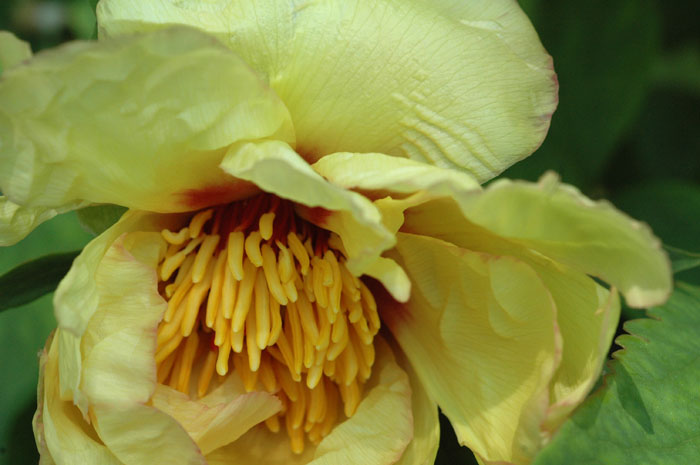 DSC_6267pswebl.jpg