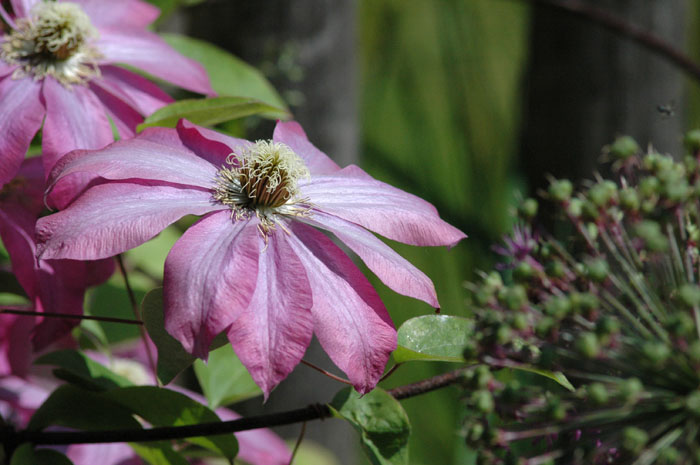 DSC_6315pswebl.jpg