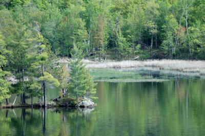 DSC_6015pswebl.jpg