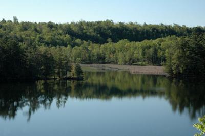DSC_6139pswebl.jpg