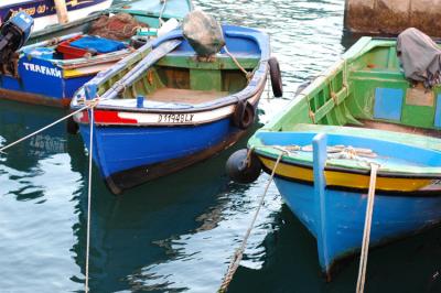 Barques de pecheurs - Porto Brandao