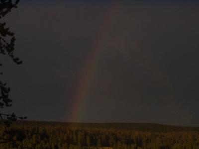 Hayden Valley rainbow at dusk