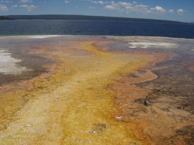 runoff to the Lake, color from microbes that thrive at this particular temperature