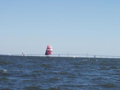 Spinnaker up!  with Bay Bridge in the background