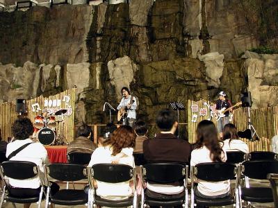 Live Show