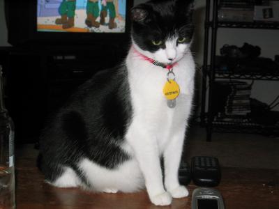 IMG_0991.JPG