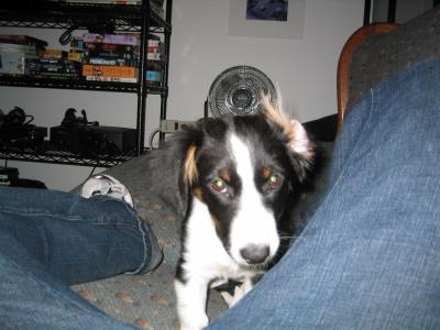 IMG_1040.JPG