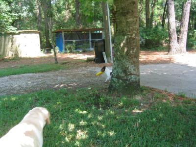 IMG_1070.JPG