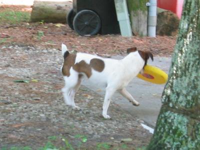 IMG_1071.JPG