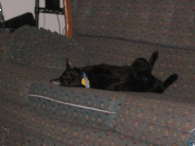 IMG_1100.JPG